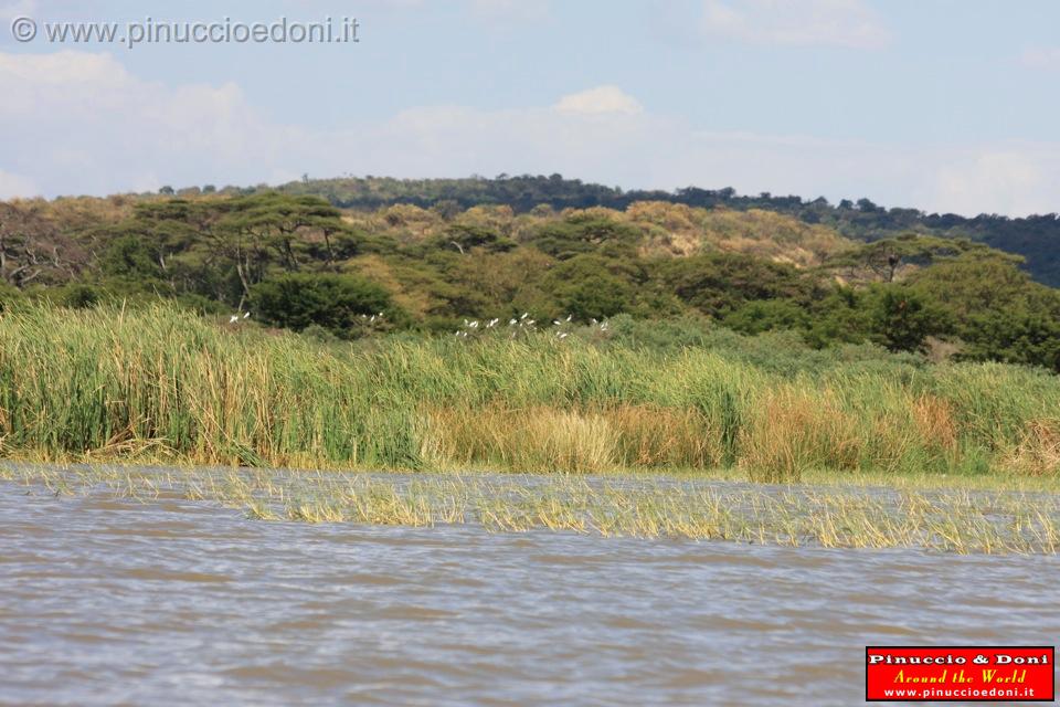 Ethiopia - Lago Chamo - 10.jpg